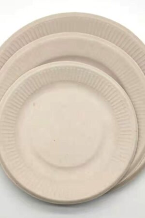 Pure pulp disposable paper plates