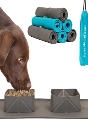 Dogs Puppy Bowls  Silicone Bowls